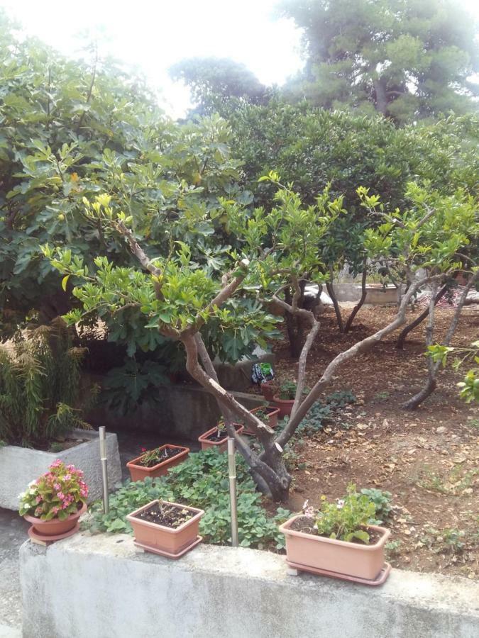 Manda Ljubetić Apartment Sutivan Bagian luar foto