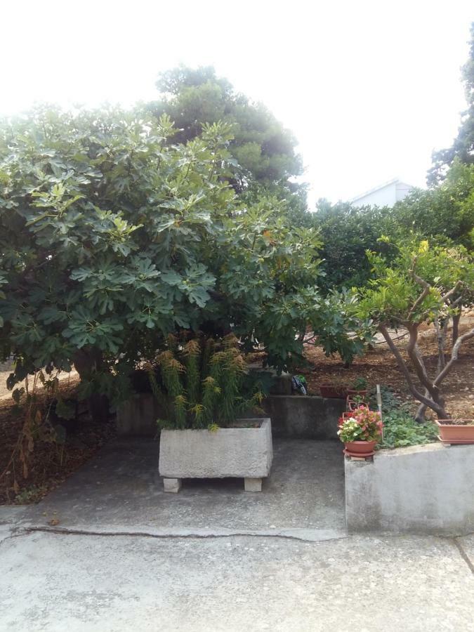 Manda Ljubetić Apartment Sutivan Bagian luar foto