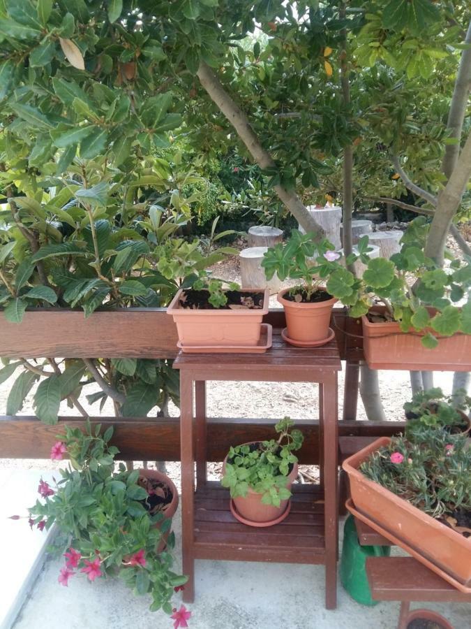 Manda Ljubetić Apartment Sutivan Bagian luar foto